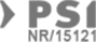 PSI Partner